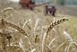 СПКК «Новый Уват»: в помощь представителям сельского хозяйства Уватского района
